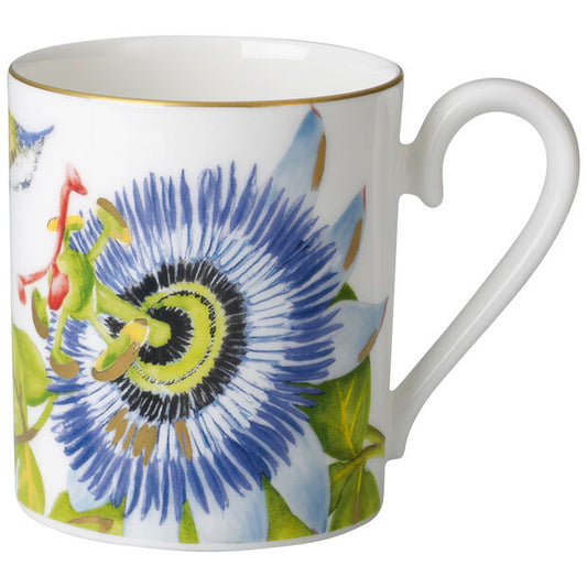 Amazonia - Tasse